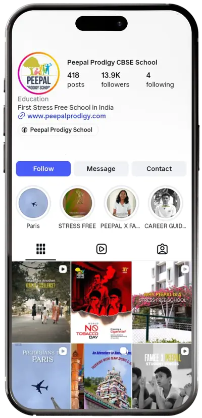 Peepal Prodigy CBSE School Instagram profile