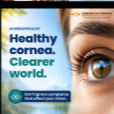 Healthy Cornea